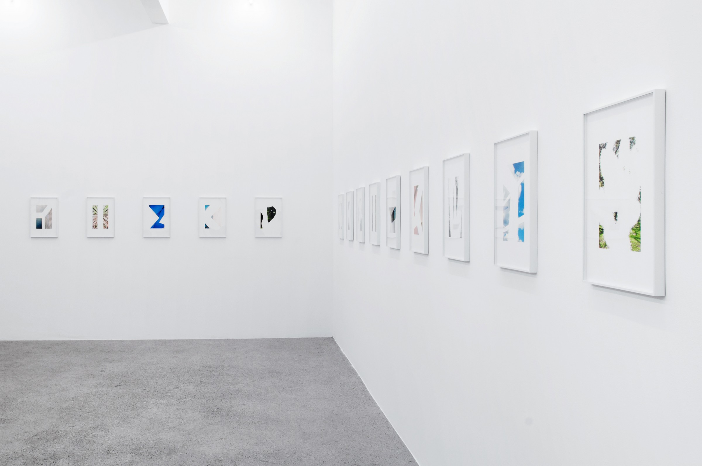 Big Fish, Rotwand Gallery, 2012